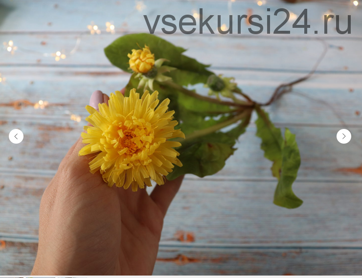 Кустик одуванчиков с жёлтыми цветами и листьями [La FLorterra]