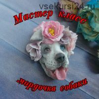 Мастер-класс по мордочке собаки из полимерной глины (sveta_trushagina)