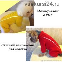 Описание вязаного комбинезона для собачки (Елена Белякова)