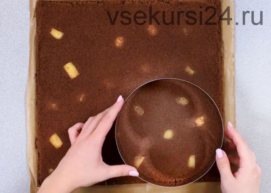 [gdetort.ru] 4 оригинальных бисквита для муссовых тортов(konditerdom_chernika)