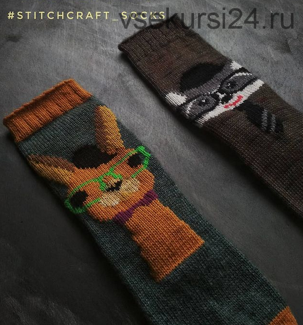 Носки «stitchcraft_socks» (vikis_knit)