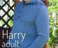 Пуловер Harry adult (liudmylababintseva)