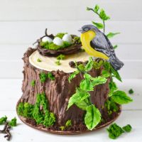 Видео-урок по декорированию торта в виде пня (Надежда Ермолович)