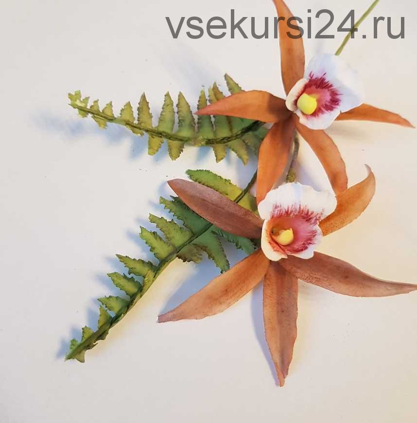 [Где торт?] Сахарная орхидея Фаус (Евгения Бочарова)