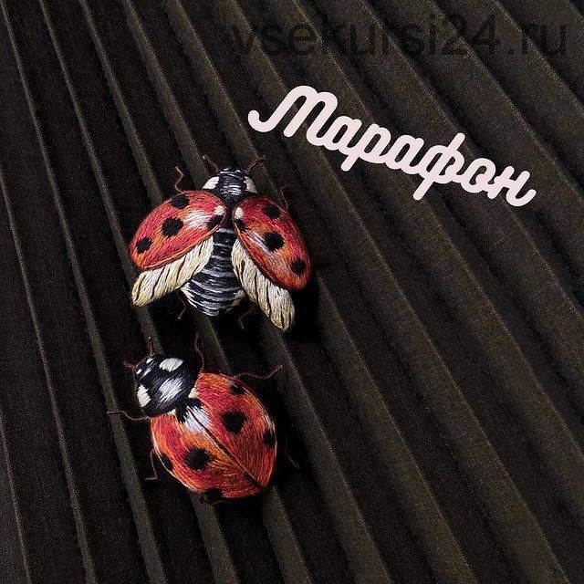 Марафон «Божьи коровки» (tut.mk)