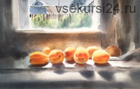 Акварельный натюрморт с абрикосами (Анна Иванова)