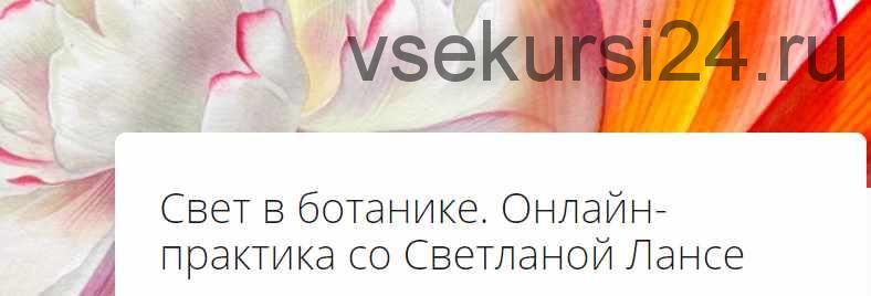 Свет в ботанике (Светлана Лансе)