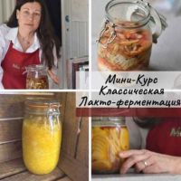 [mazaika_fermentation] Классическая лакто-ферментация (Анна Дроздова)