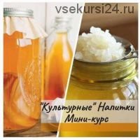 [mazaika_fermentation] 'Культурные' напитки мини-курс (Анна Дроздова)