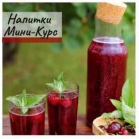 [mazaika_fermentation] Напитки мини-курс (Анна Дроздова)