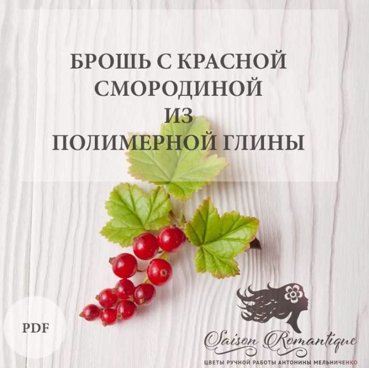 Брошь с красной смородиной из полимерной глины (Антонина Мельниченко)