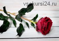 Мастерский курс «Цветы из полимерной глины» 14 мастер-классов (Марина Головина)