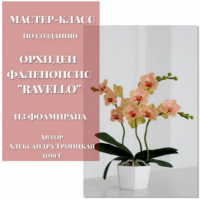 Мастер-класс по созданию орхидеи фаленопсис «Ravello» из фоамирана (Александра Троицкая)