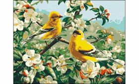 Холст с красками "Птицы в саду" 30х40 см по номерам (арт. ST053)