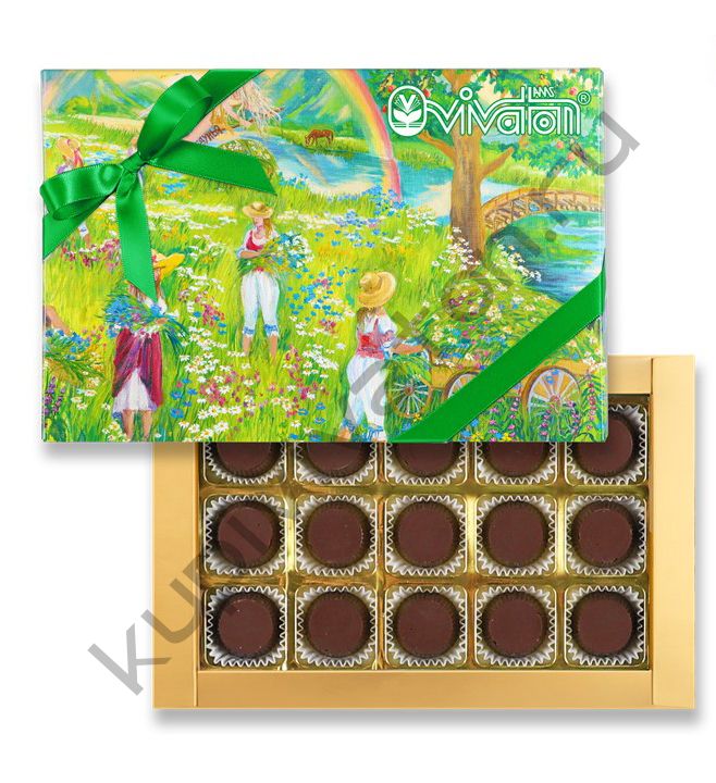 Шоколадные конфеты с "Экстрактом ВИВАТОН", 170гр, коробка.