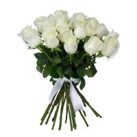 Букет из белых эквадорских роз от 19 шт