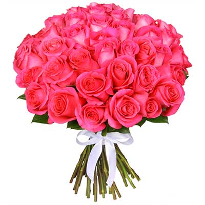 Букет из розовых эквадорских роз от 19 шт
