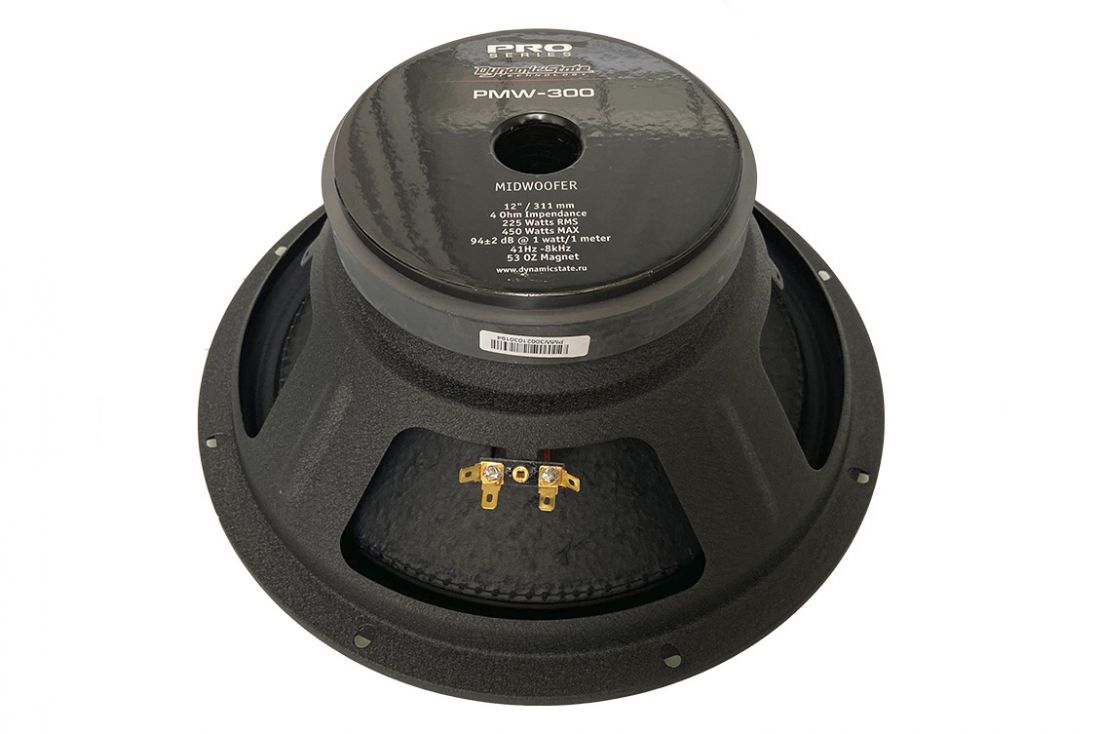 Dynamic State PRO PMW-300