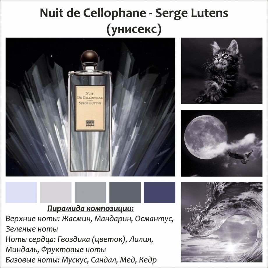 ~Nuit De Cellophane (w) ~