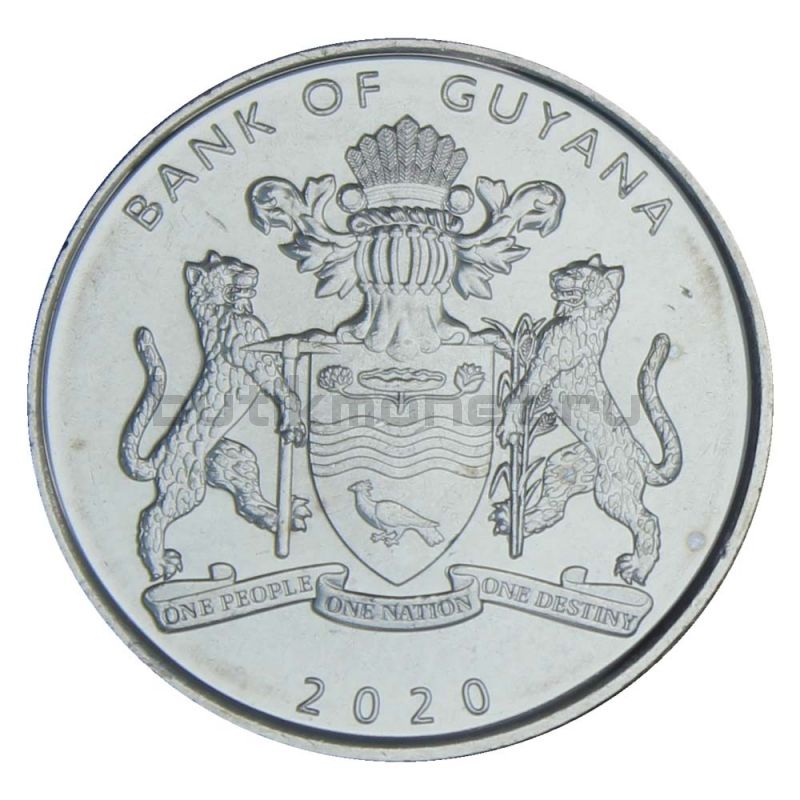 100 долларов 2020 Гайана 50 лет Кооперативной Республике Гайана