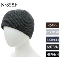 Мужская шапка NORTH CAPS N-828f