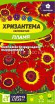 Hrizantema-kilevataya-Plamya-Semena-Altaya