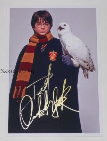 Автограф: Дэниэл Рэдклифф. "Гарри Поттер"