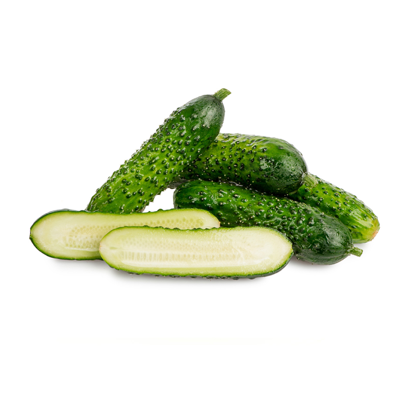 Купить Семена Огурцов В Ростове На Дону