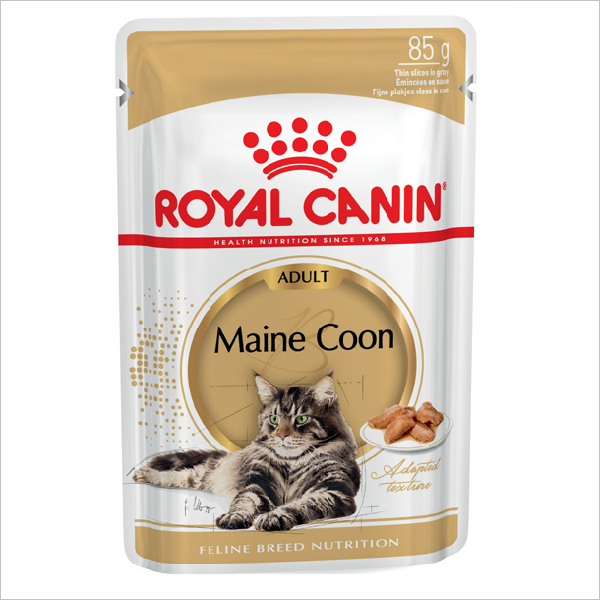 Влажный корм для кошек Royal Canin Maine Coon Мейн-кун кусочки в соусе