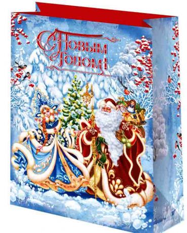 Пакет Дед Мороз и Снегурочка (41х56 см, бумага)