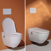 унитаз-биде подвесной Laufen Cleanet Navia 820601