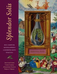 Splendor Solis. Все секреты легендарного алхимического трактата - Скиннер Стивен, Годвин Джоселин, Хидисен Джорджиана, Принке Рафаль Т.