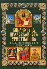 Читаем Пророческие книги Ветхого Завета / Михалицын Павел Евгеньевич