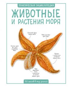 Животные и растения моря - Бедуайер Камилла