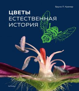 Цветы. Естественная история - Кремер Б.П.