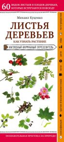 Листья деревьев. Как узнать растение - Куценко Михаил Евгеньевич