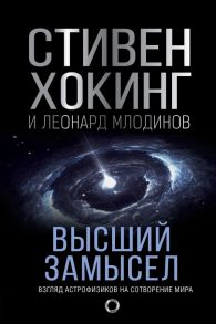 Высший замысел. Новый перевод - Хокинг Стивен, Млодинов Леонард