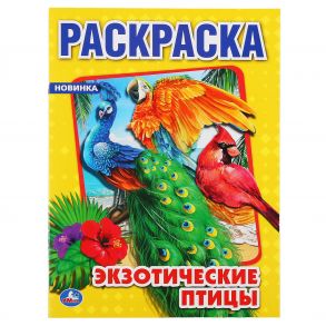 "УМКА". ЭКЗОТИЧЕСКИЕ ПТИЦЫ. (ПЕРВАЯ РАСКРАСКА А4) ФОРМАТ: 214Х290 ММ. ОБЪЕМ: 16 СТР. в кор.50шт