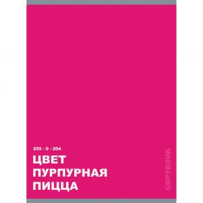 Тетрадь для конспектов Come on, А4, 48 листов, дизайн 6