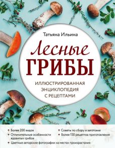 Лесные грибы. Иллюстрированная энциклопедия с рецептами - Ильина Татьяна Александровна