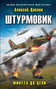 Штурмовик. Минута до цели - Цаплин Алексей Георгиевич