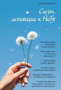 Слёзы, летящие к небу: зачем современному человеку христианство / Ткаченко Александр Борисович