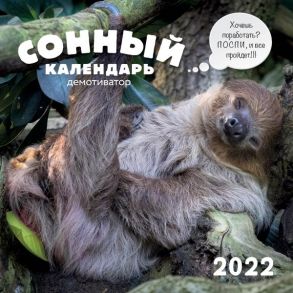 Сонный календарь демотиватор. Календарь настенный на 2022 год (300х300 мм)