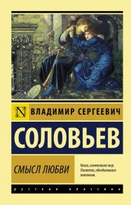 Смысл любви - Соловьев Владимир Сергеевич