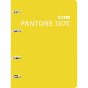 Pantone line. Color '21. No. 2