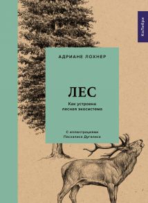 Лес. Как устроена лесная экосистема - Лохнер Адриане