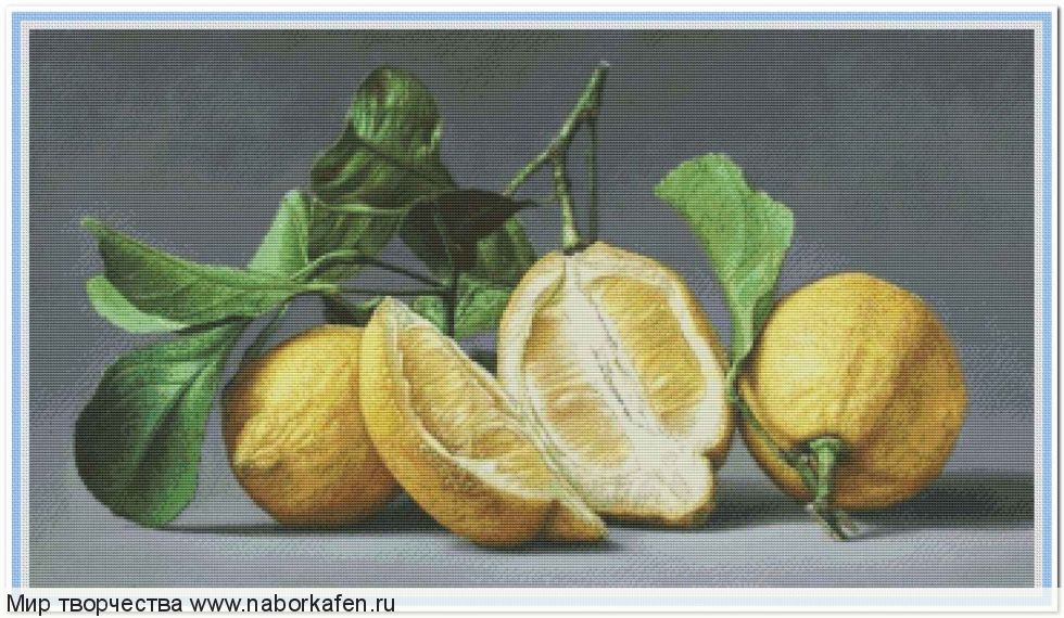 Набор для вышивания "Лимоны"