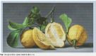 Набор для вышивания "Лимоны"