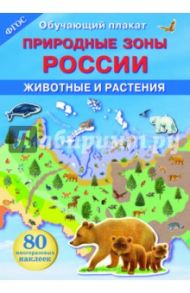 Природные зоны России. Животные и растения. ФГОС