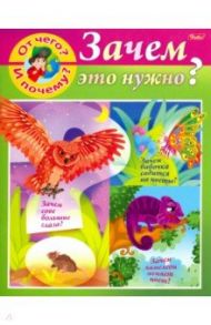 От чего и почему? Зачем это нужно? / Султанова Марина